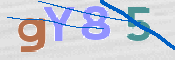 Image Anti-spam